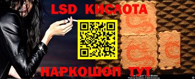 соль ск Будённовск