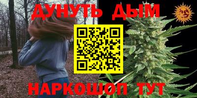 соль ск Будённовск