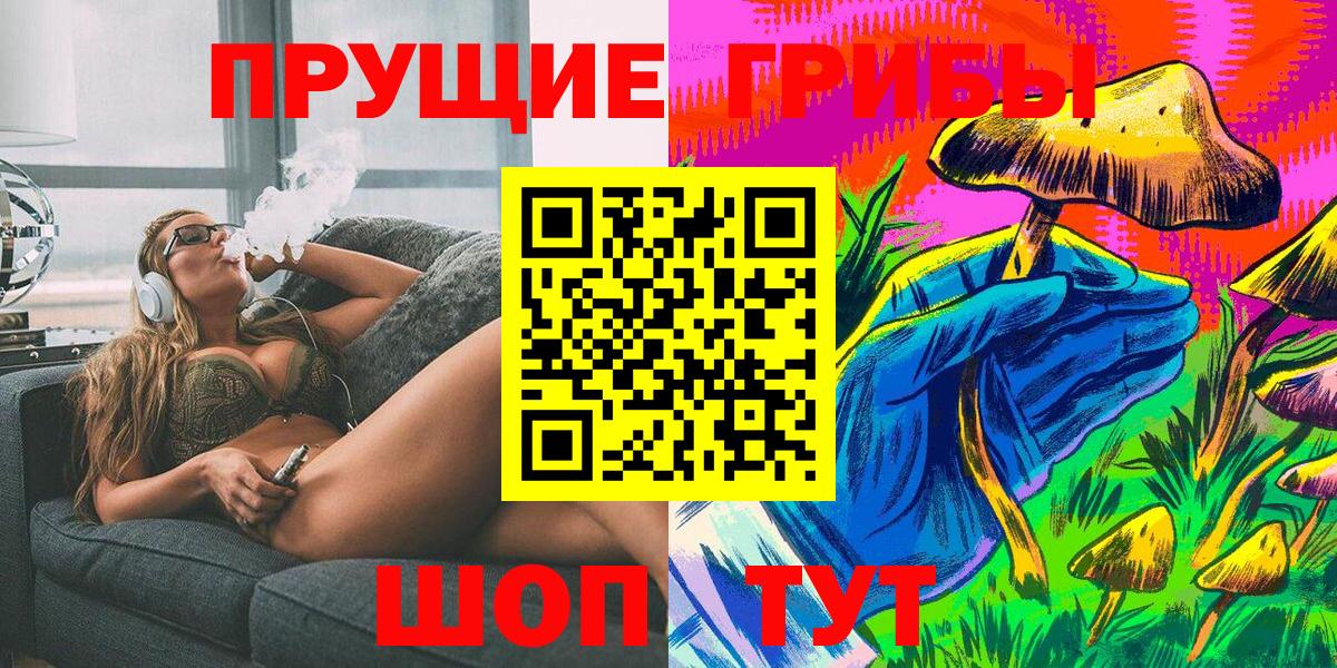 Галлюциногенные грибы Psilocybine cubensis Тутаев